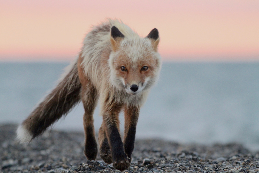 Best Photo - Gergana Daskalova